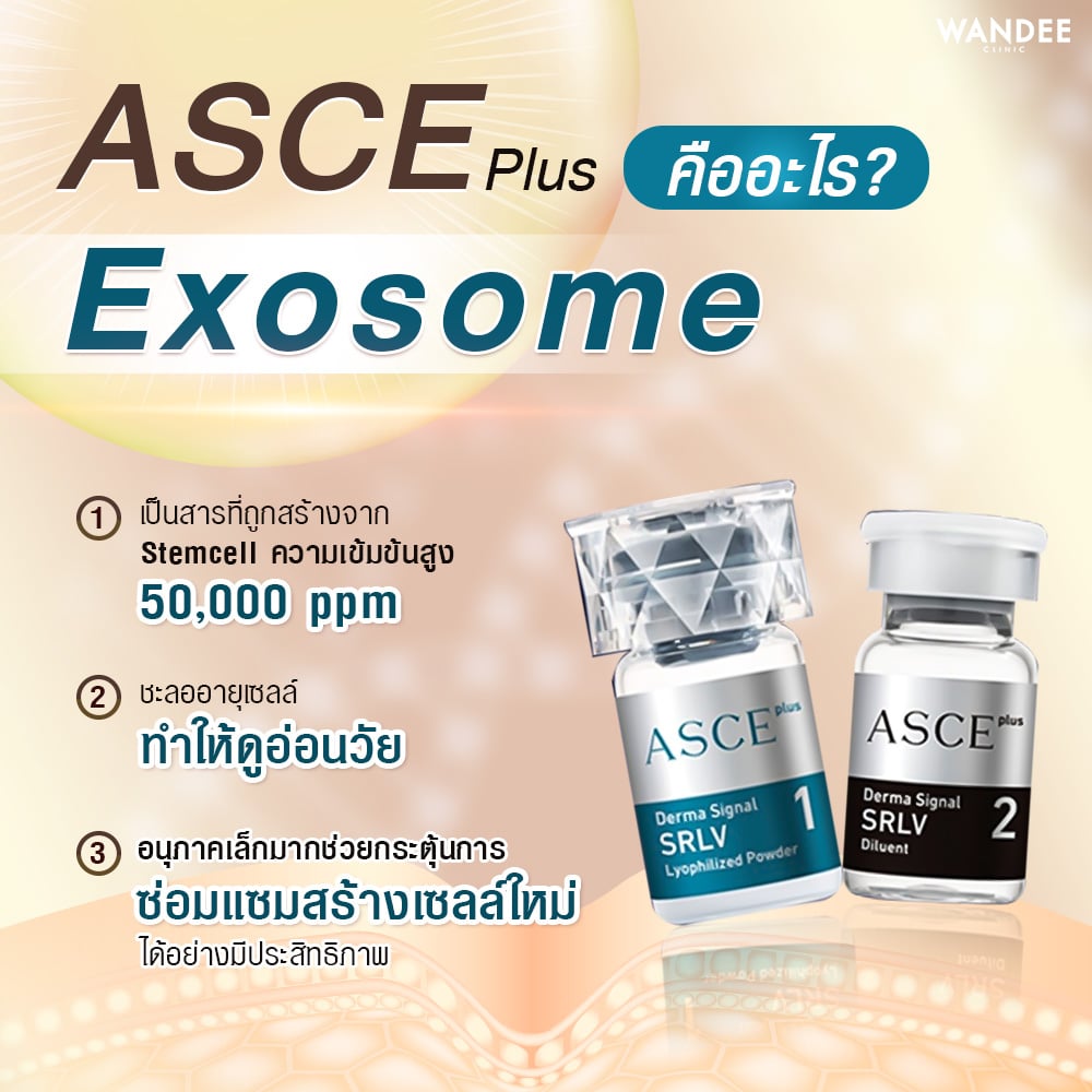 Exosome คือ