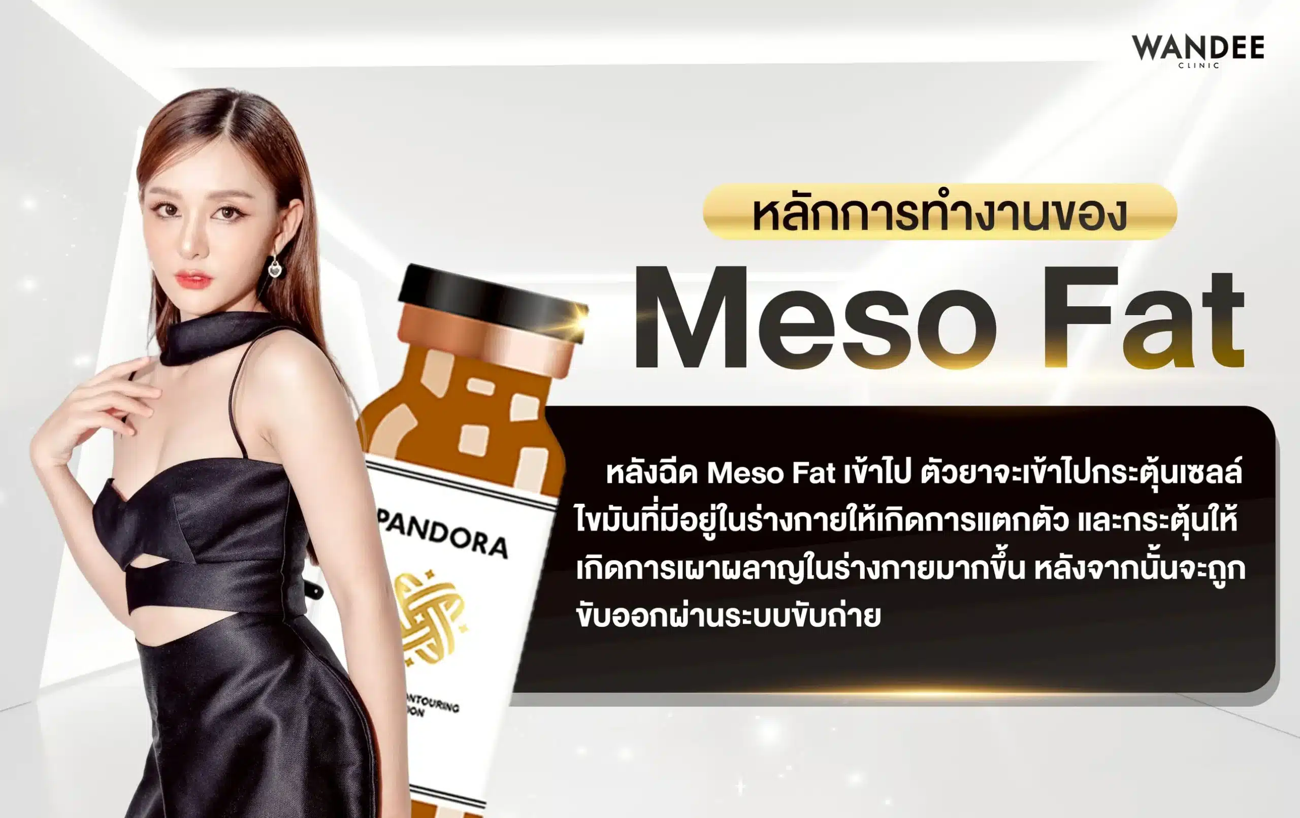 หลักการทำงาน Meso fat