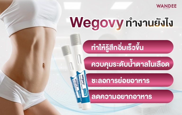 Wegovy ทำงานอย่างไร